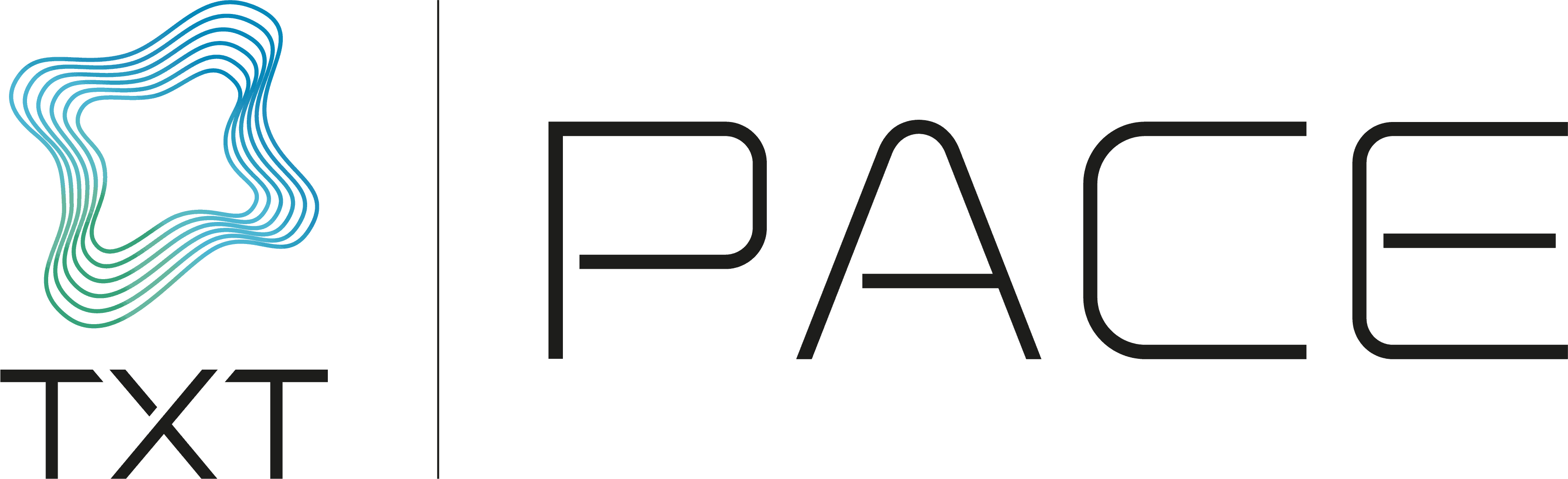 PACE Aerospace Engineering and Information Technology GmbH